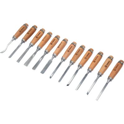 Kaltų medžiui / drožinėjimui rinkinys | HCS | 12 vnt. (25570)