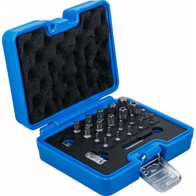 Antgalių rinkinys | TS-Star (Torx Plus) | 23 vnt. (5056)