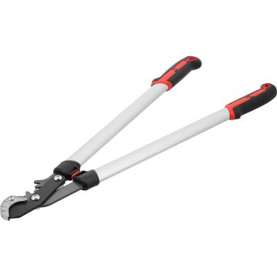 Sodo sekatorius teleskopinis | su grūdintu pavaros mechanizmu | 760 mm (YT-88293)