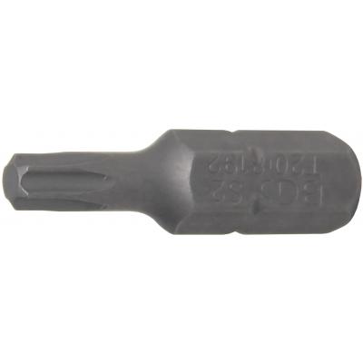 Antgalis | 6.3 mm (1/4