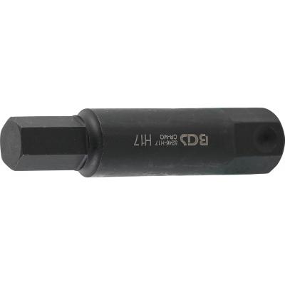 Antgalis smūginis | ilgis 100 mm | 22 mm storio | hex šešiakampis 17 mm (5246-H17)