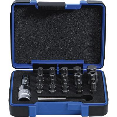 Antgalių rinkinys | TS profilis PLUS (Torx Plus) | 23 vnt. (4993)