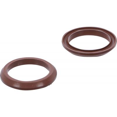 Fluoroelastomero sandarikliai BGS 4067 (4067-1)