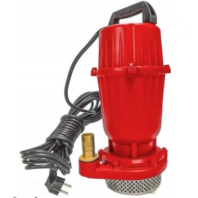 Panardinamas siurblys | 550W | 1